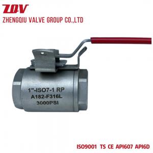 2PC FP Forged Stainless Steel F316 Ball Valve 3000PSI