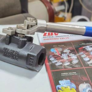 Deadman Ball Valve with Spring Return Handle 3000 PSI