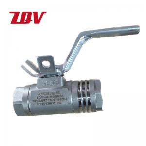 FNPT&SW Full Port 6000PSI Stainless Steel CF8M Ball Valve